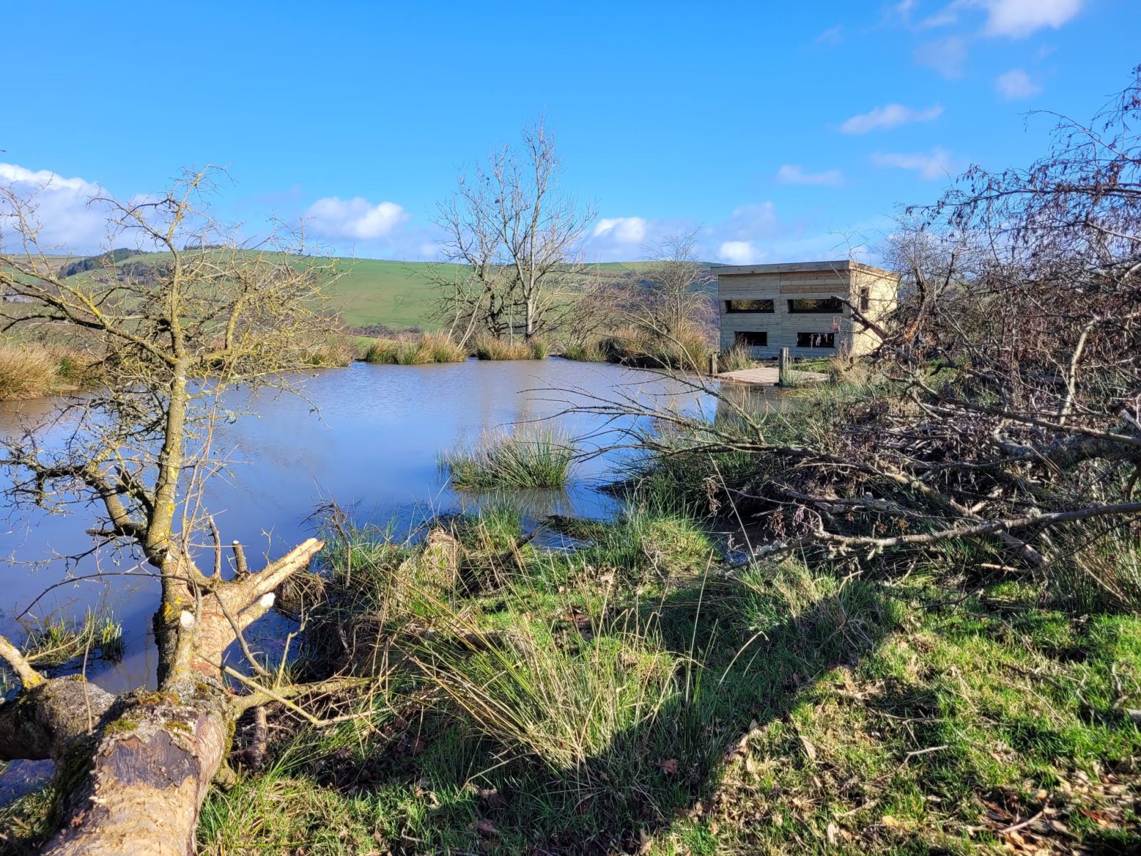 The Beaver Hide in the Beaver Enclosure at Clun Valley Beavers