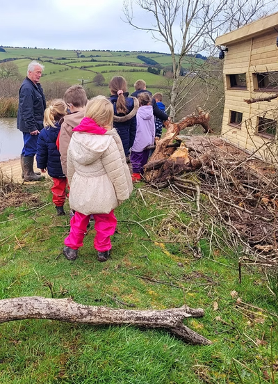 Welcome to Clun Valley Beavers - Shropshire Rewilding Projects