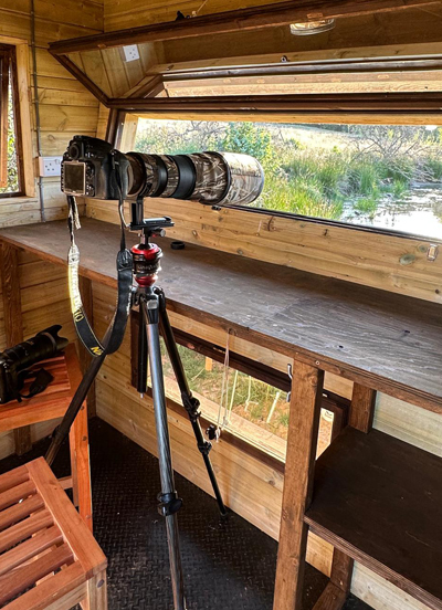 The Hide at Clun Valley Beavers in Shropshire Hills